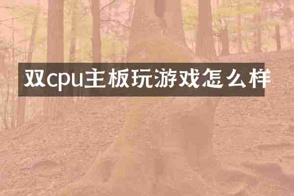 双cpu主板玩游戏怎么样