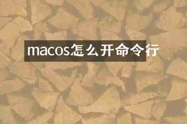 macos怎么开命令行