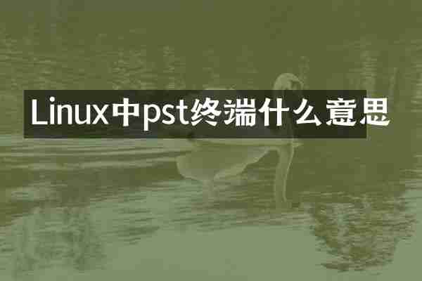 Linux中pst终端什么意思