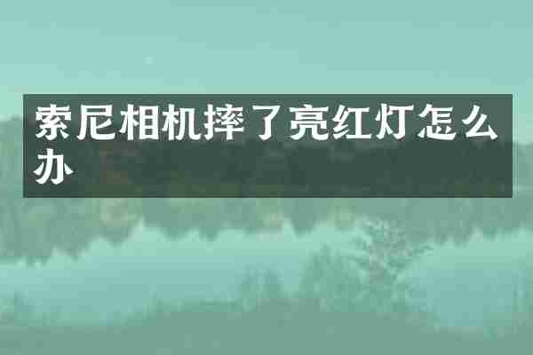 索尼相机摔了亮红灯怎么办