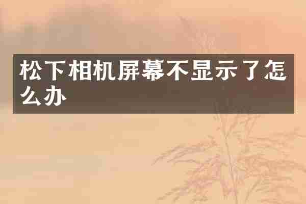 松下相机屏幕不显示了怎么办