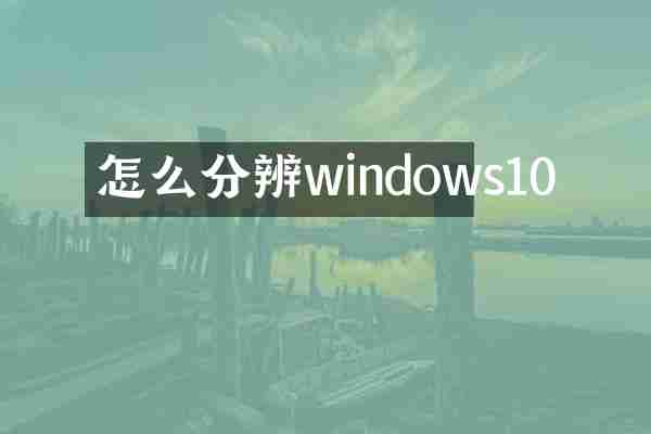 怎么分辨windows10