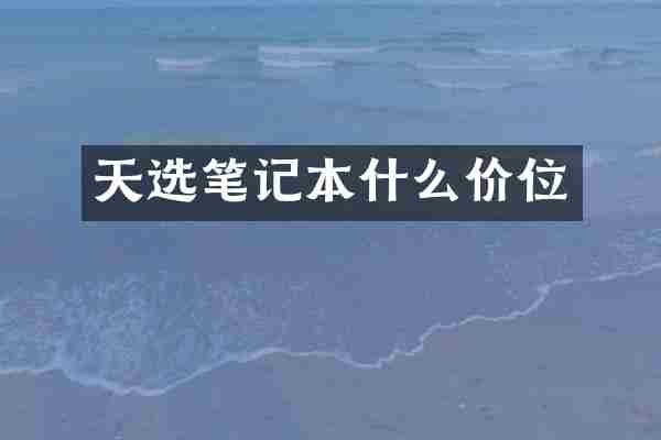天选笔记本什么价位