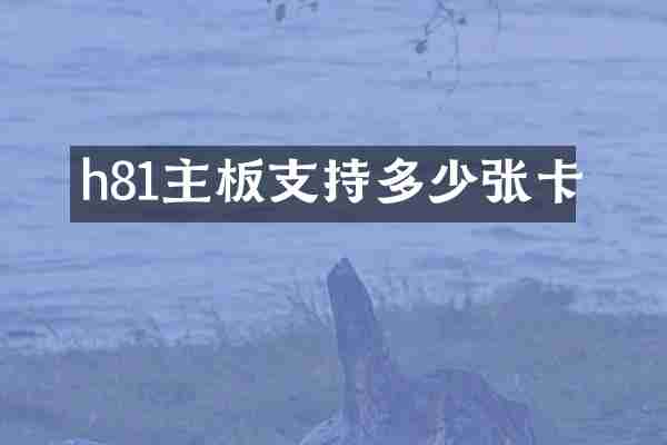 h81主板支持多少张卡