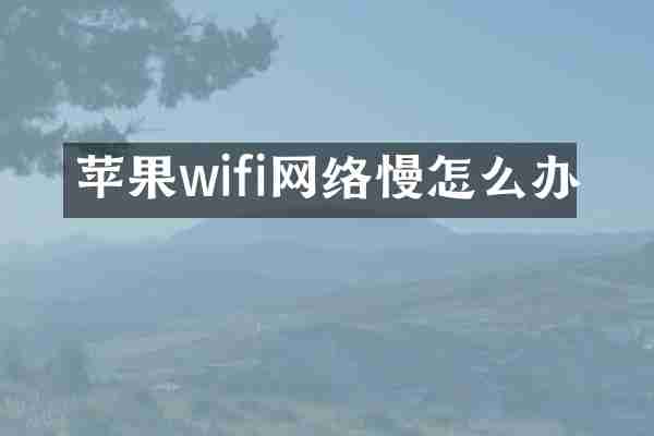 苹果wifi网络慢怎么办