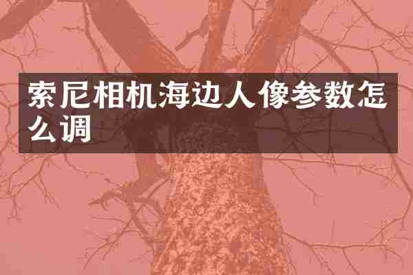 相机海边人像参数怎么调
