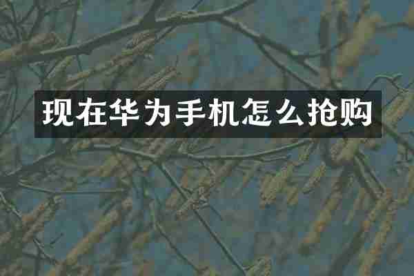 现在华为手机怎么抢购