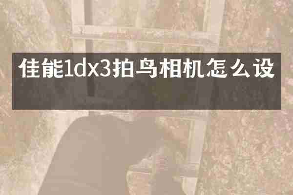 佳能1dx3拍鸟相机怎么设置