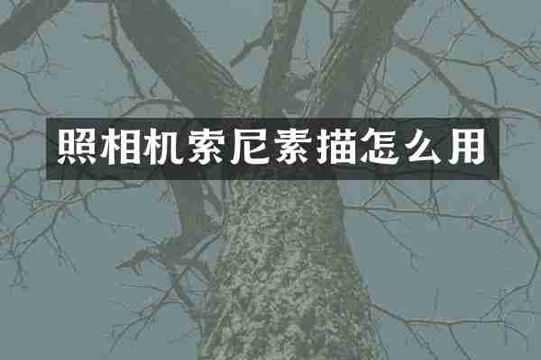 照相机素描怎么用