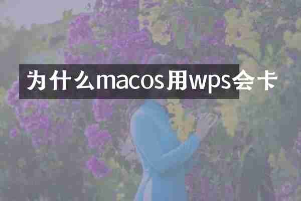为什么macos用wps会卡