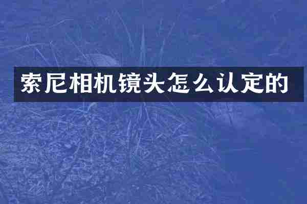 相机镜头怎么认定的