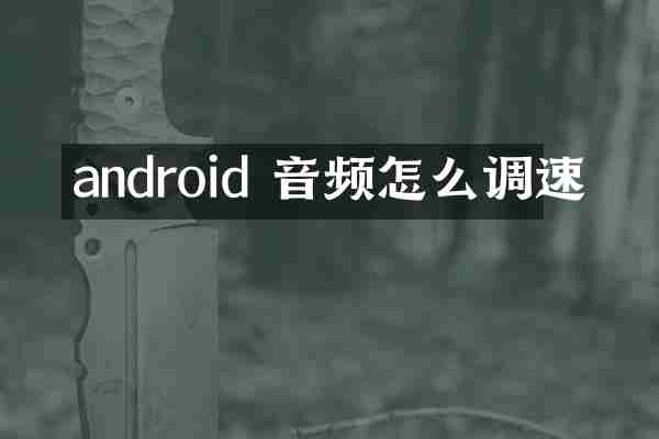 android 音频怎么调速