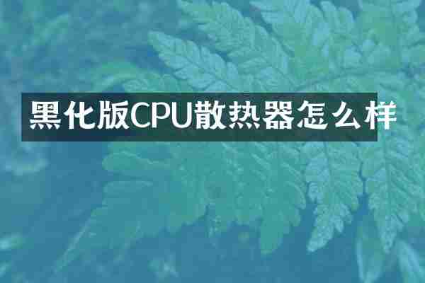 黑化版CPU散热器怎么样