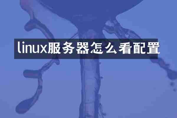 linux服务器怎么看配置