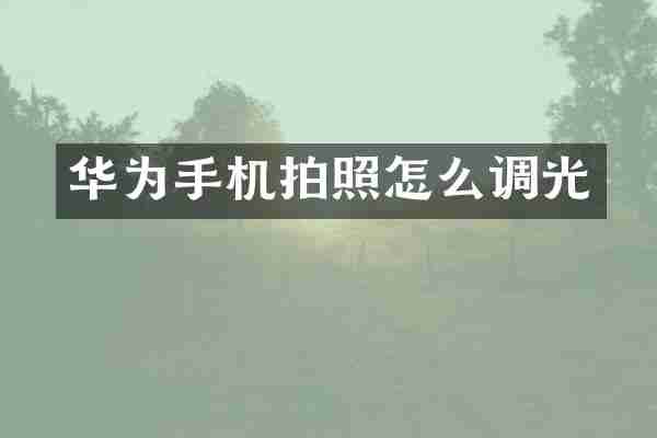 华为手机拍照怎么调光