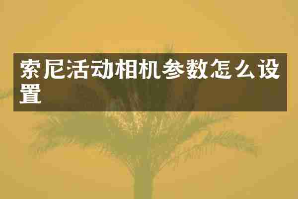 活动相机参数怎么设置