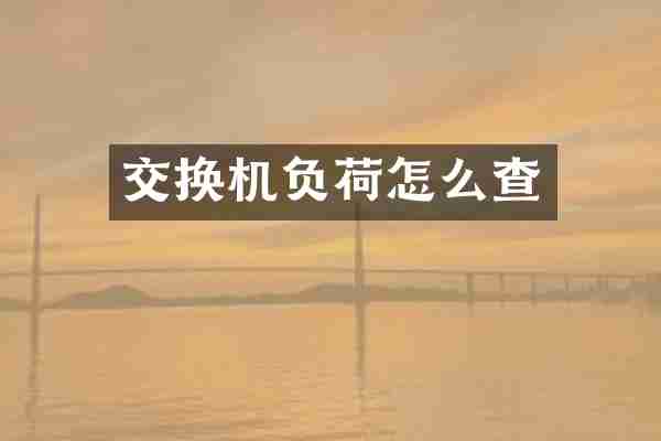 交换机负荷怎么查