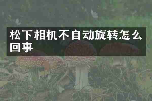 相机不自动旋转怎么回事
