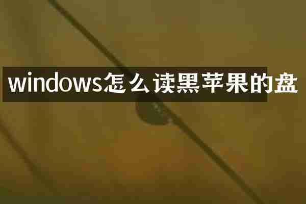 windows怎么读黑苹果的盘