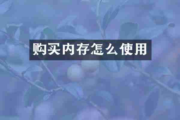 购买内存怎么使用
