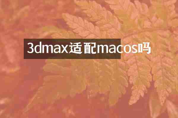 3dmax适配macos吗