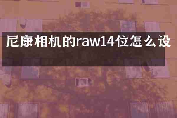 尼康相机的raw14位怎么设置