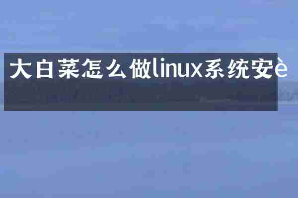 大白菜怎么做linux系统安装