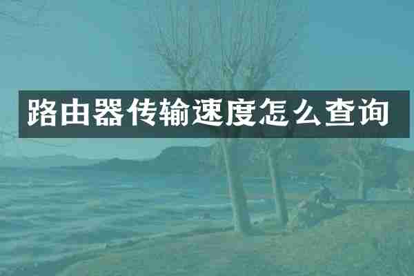 路由器传输速度怎么查询