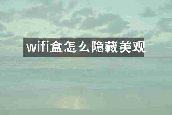 wifi盒怎么隐藏美观