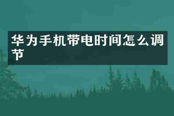 华为手机带电时间怎么调节