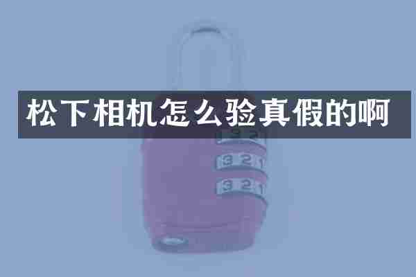 相机怎么验真假的啊