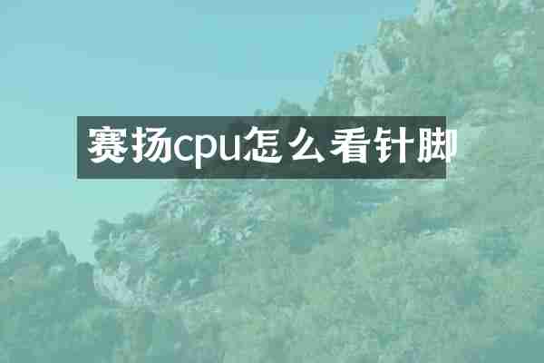 赛扬cpu怎么看针脚