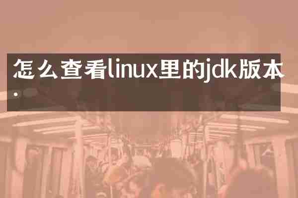 怎么查看linux里的jdk版本号