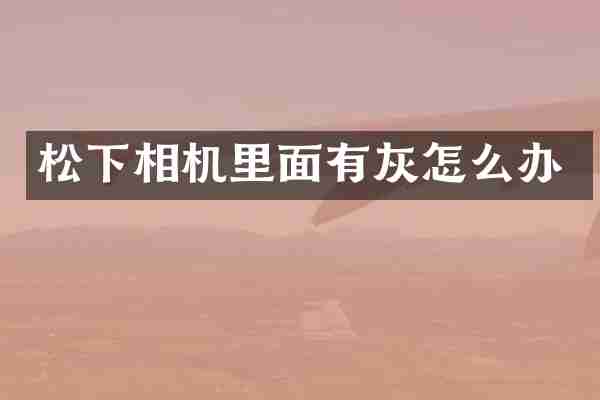 相机里面有灰怎么办