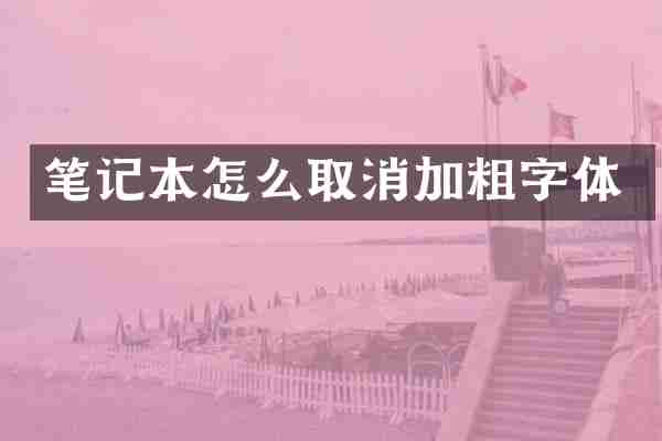 笔记本怎么取消加粗字体