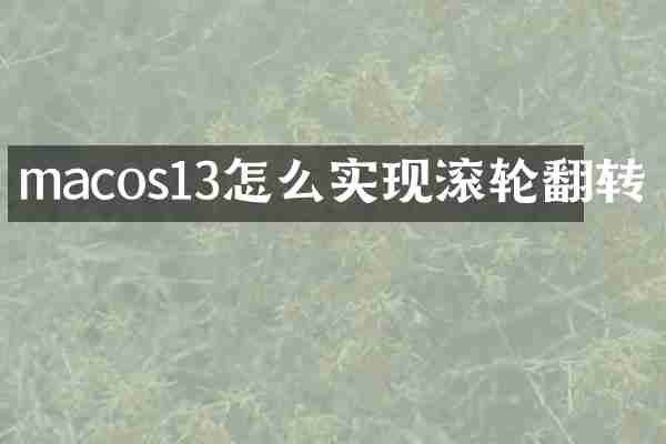 macos13怎么实现滚轮翻转