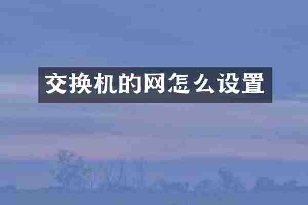 交换机的网怎么设置