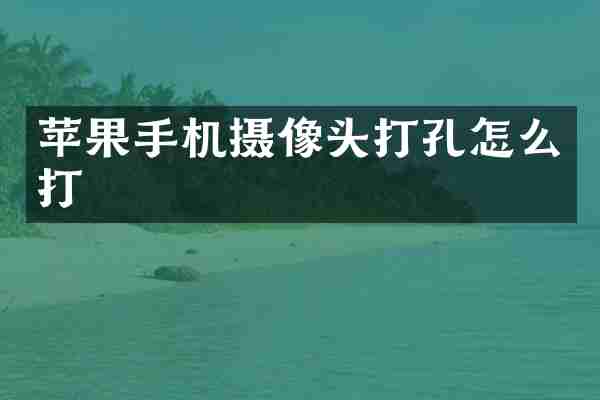 苹果手机摄像头打孔怎么打
