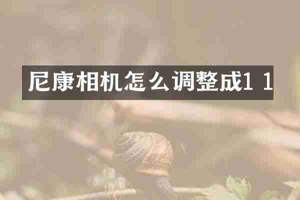 尼康相机怎么调整成1 1