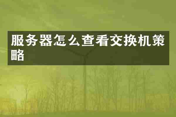 服务器怎么查看交换机策略