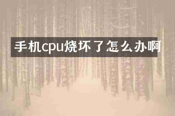 手机cpu烧坏了怎么办啊