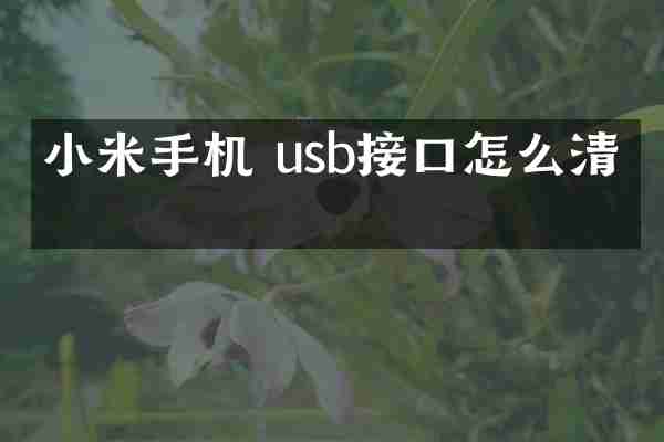 小米手机 usb接口怎么清理