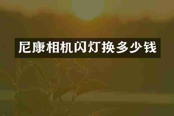 尼康相机闪灯换多少钱