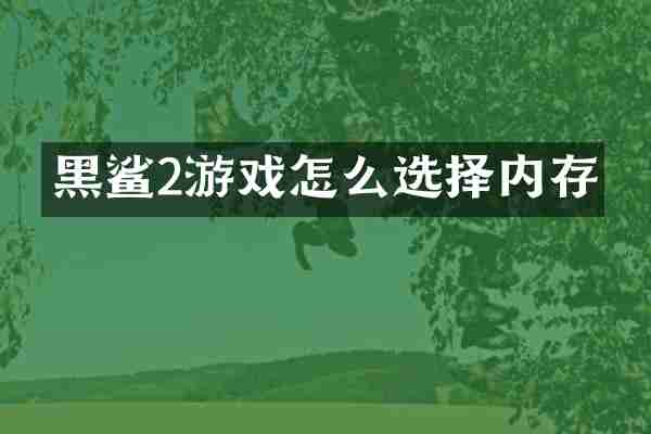 黑鲨2游戏怎么选择内存
