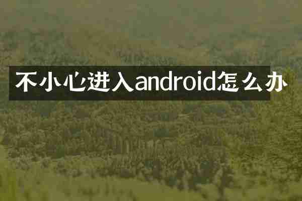不小心进入android怎么办