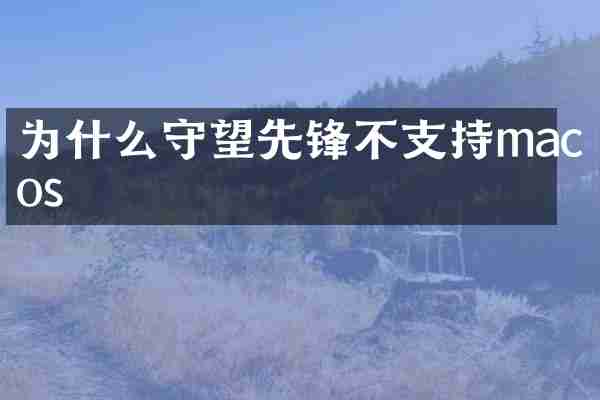 为什么守望先锋不支持macos