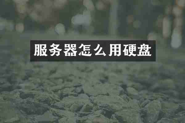服务器怎么用硬盘