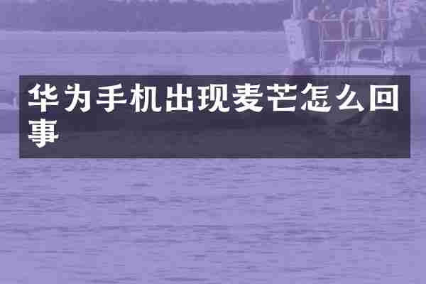 华为手机出现麦芒怎么回事