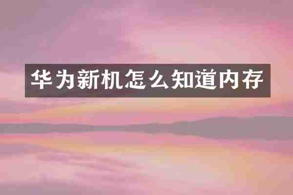 华为新机怎么知道内存