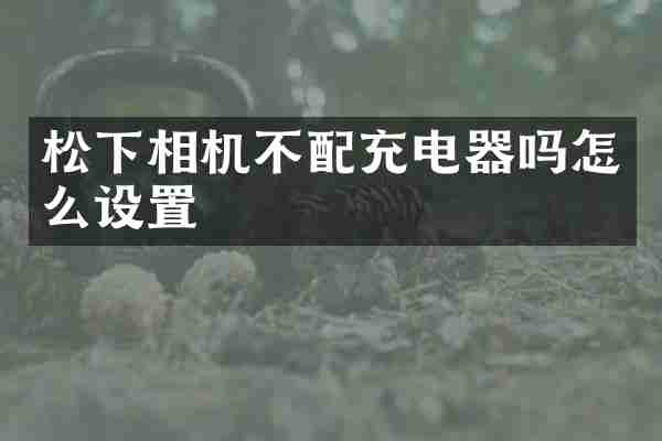 相机不配充电器吗怎么设置